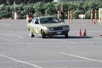 IMG 5251