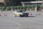 IMG 5255