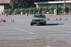 IMG 5258