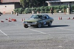 IMG 5260