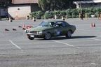IMG 5261