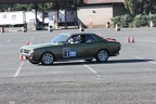 IMG 5264