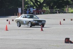 IMG 5279