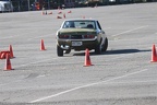 IMG 5281