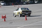 IMG 5283
