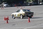 IMG 5284