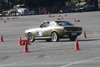 IMG 5285