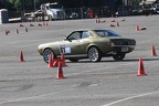 IMG 5286
