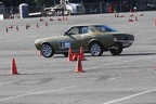 IMG 5287
