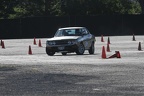 IMG 5295