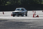 IMG 5296