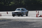 IMG 5297