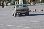 IMG 5309