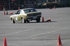 IMG 5314