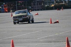 IMG 5319
