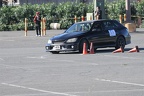IMG 5342