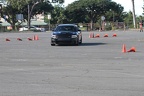 IMG 7377