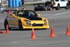 IMG 9005
