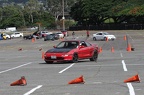 IMG 9167
