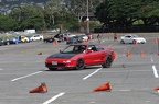 IMG 9168