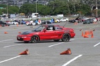 IMG 9171