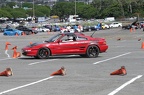 IMG 9172