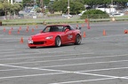 IMG 9743
