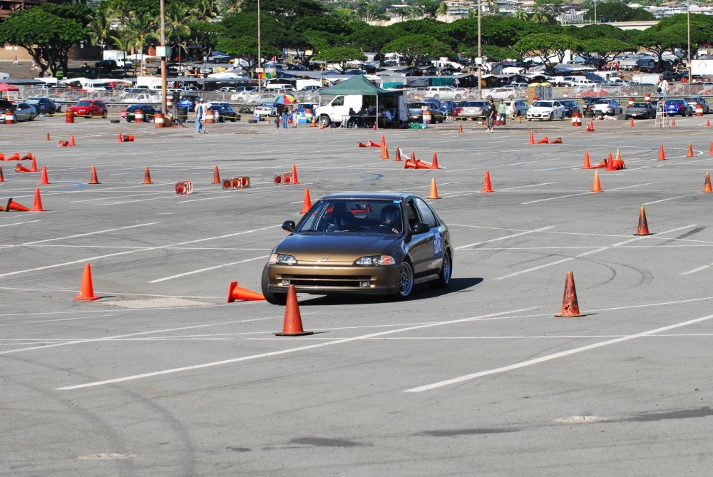 dsc_5282.jpg