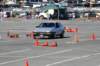 dsc_5331_small.jpg