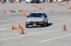 dsc_5339_small.jpg