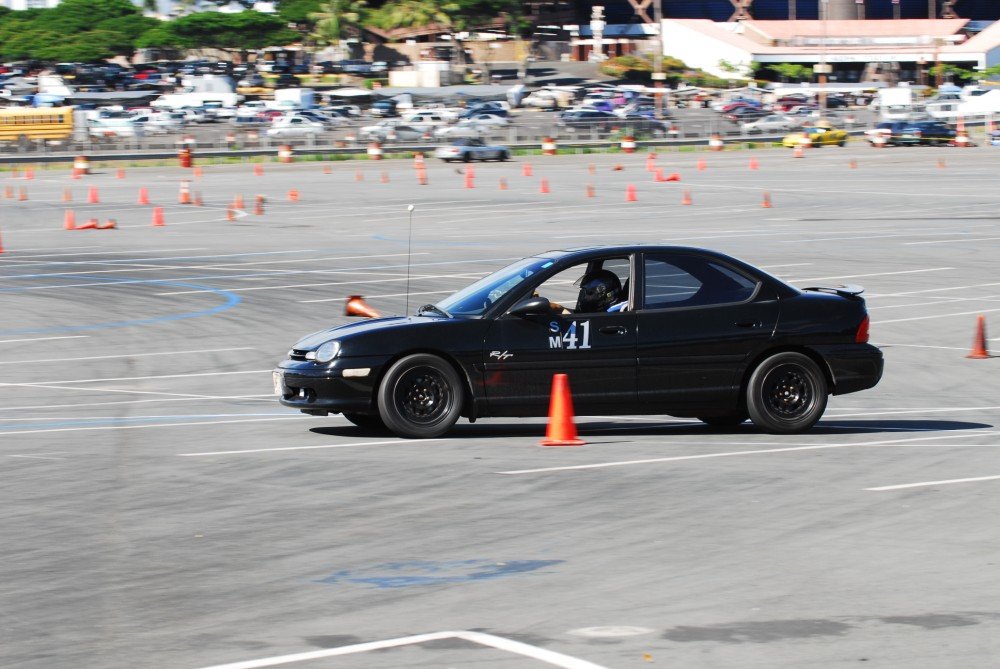 dsc_5411.jpg
