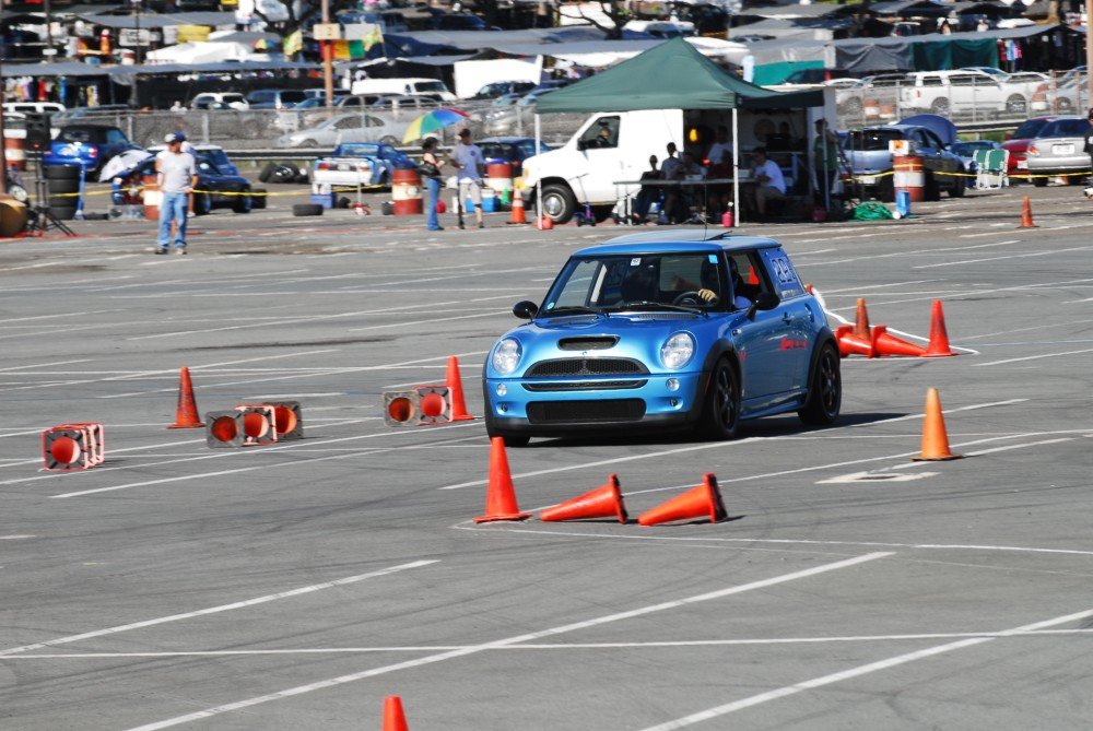 dsc_5446.jpg