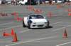 dsc_5494_small.jpg