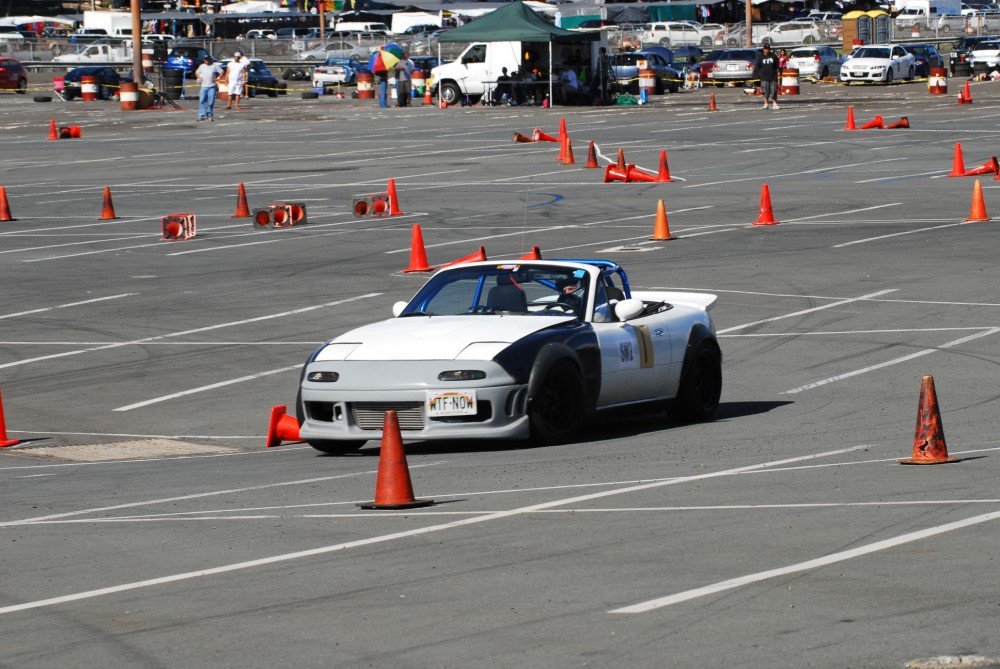 dsc_5496.jpg