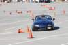 dsc_5656_small.jpg
