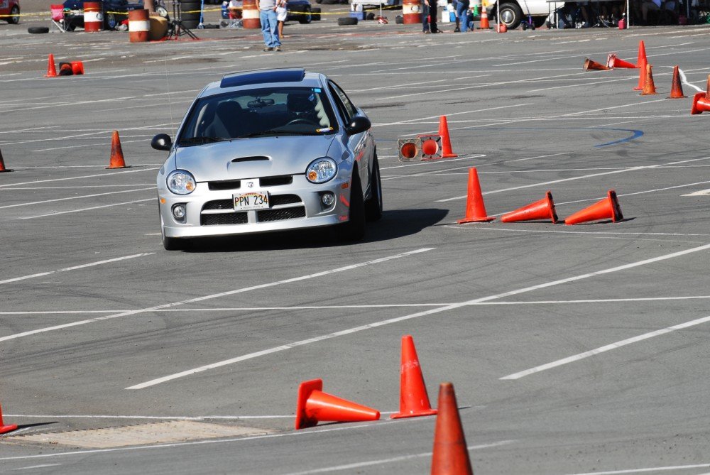 dsc_5686.jpg
