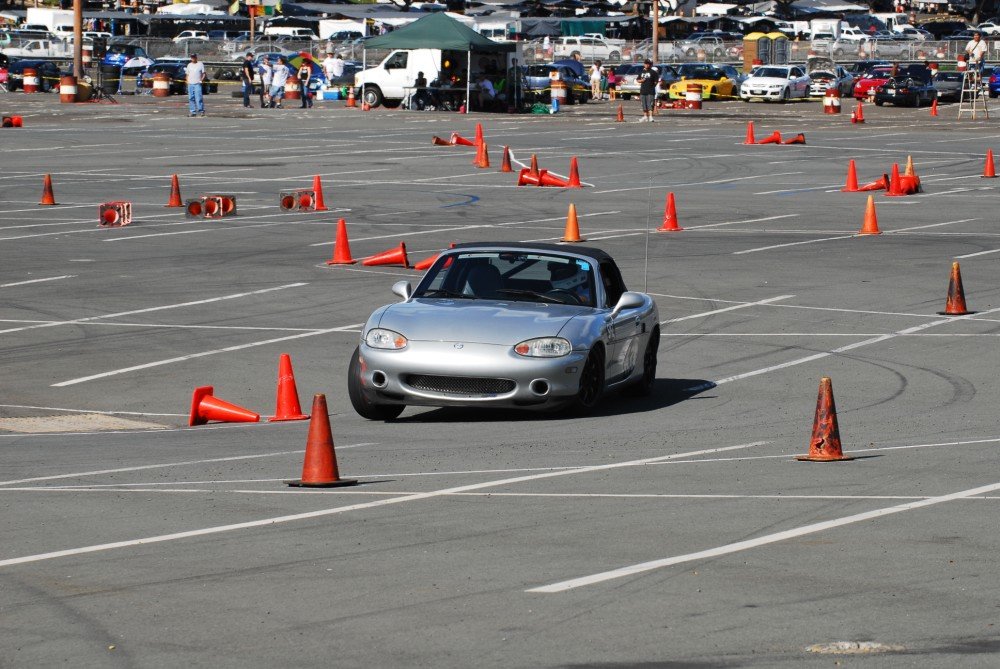 dsc_5910.jpg