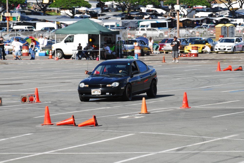 dsc_5919.jpg
