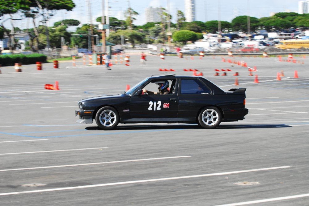 dsc_5955.jpg