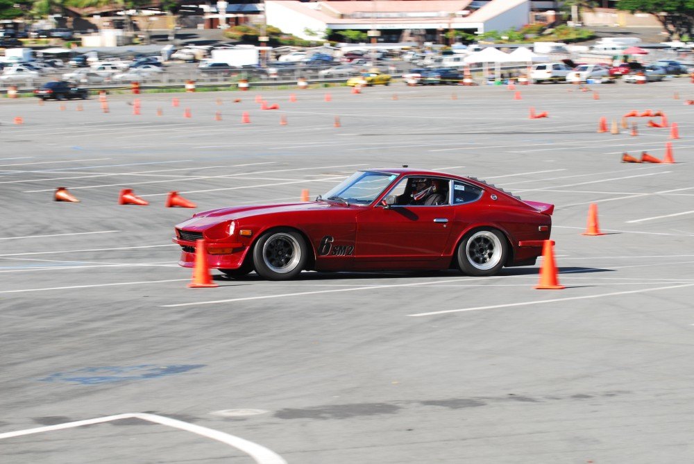 dsc_5971.jpg