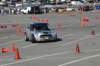 dsc_6009_small.jpg