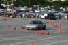 dsc_6110_small.jpg