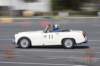 img_43562_small.jpg