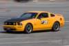 img_43762_small.jpg