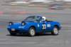 img_43920_small.jpg