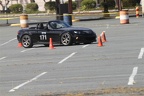 HMG 5901