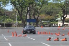 HMG 6042
