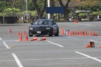 HMG 6043
