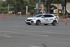 HMG 6101