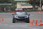 HMG 6145